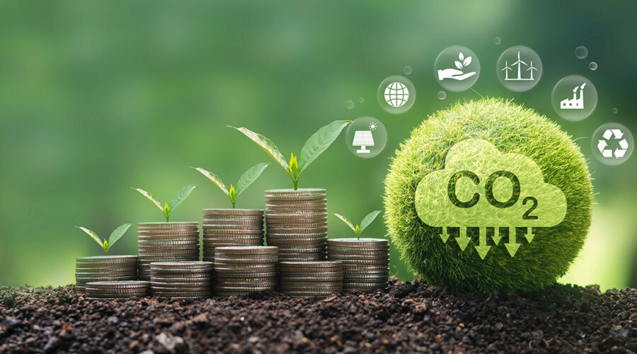 Captura de carbono no solo por práticas regenerativas